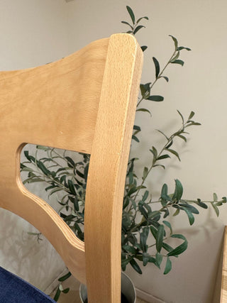 Clearance Sale - TOYOMOKU SEPINTO Dining Chair