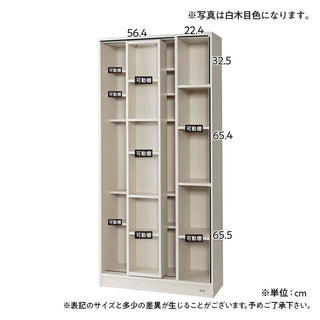 Funamoco Slide Shelf PRO (A4專用 D52cm）