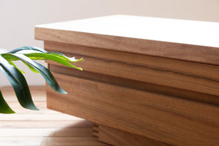 HASHIZUME - HIMUKA TV Board