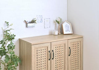 Sato Sangyo GENKA Shoe Cabinet Low