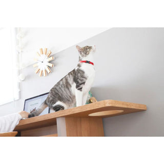 Tohma TREEMO with Cat Desk