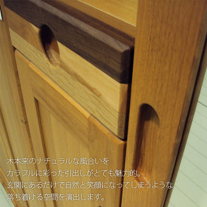 Tatsuyoshi PASTEL Shoe Cabinet
