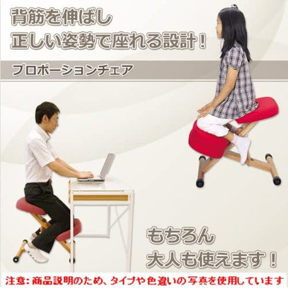Miyatake Proportion Chair Cushion only（CN-8C)