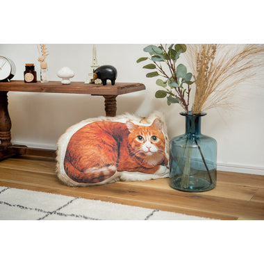 Room Essence Cushion Cat TTC-401C