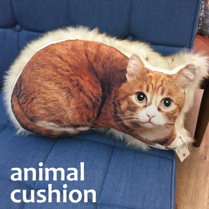 Room Essence Cushion Cat TTC-401C